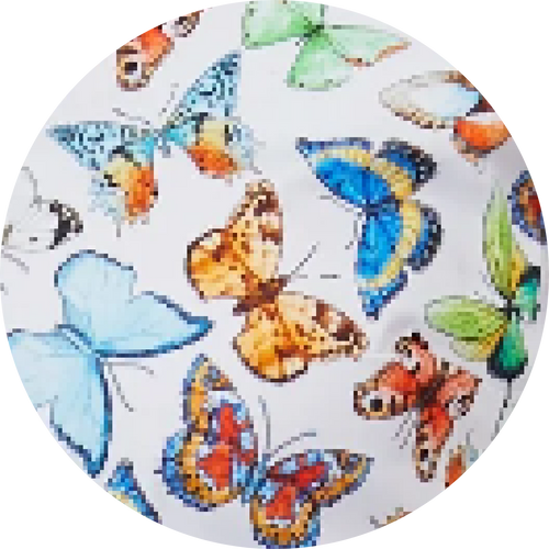 Butterfly Print